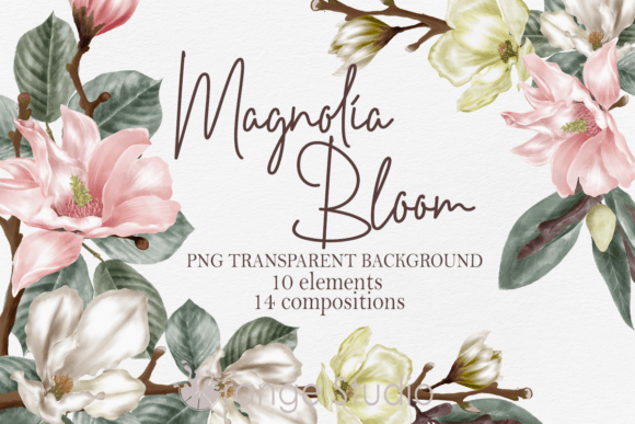 The Versatile Language of Design: Magnolia Floral Clipart as a Modern Creative Asset