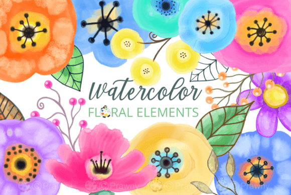 Watercolor Floral Design Elements: Practical Assets for Creators
